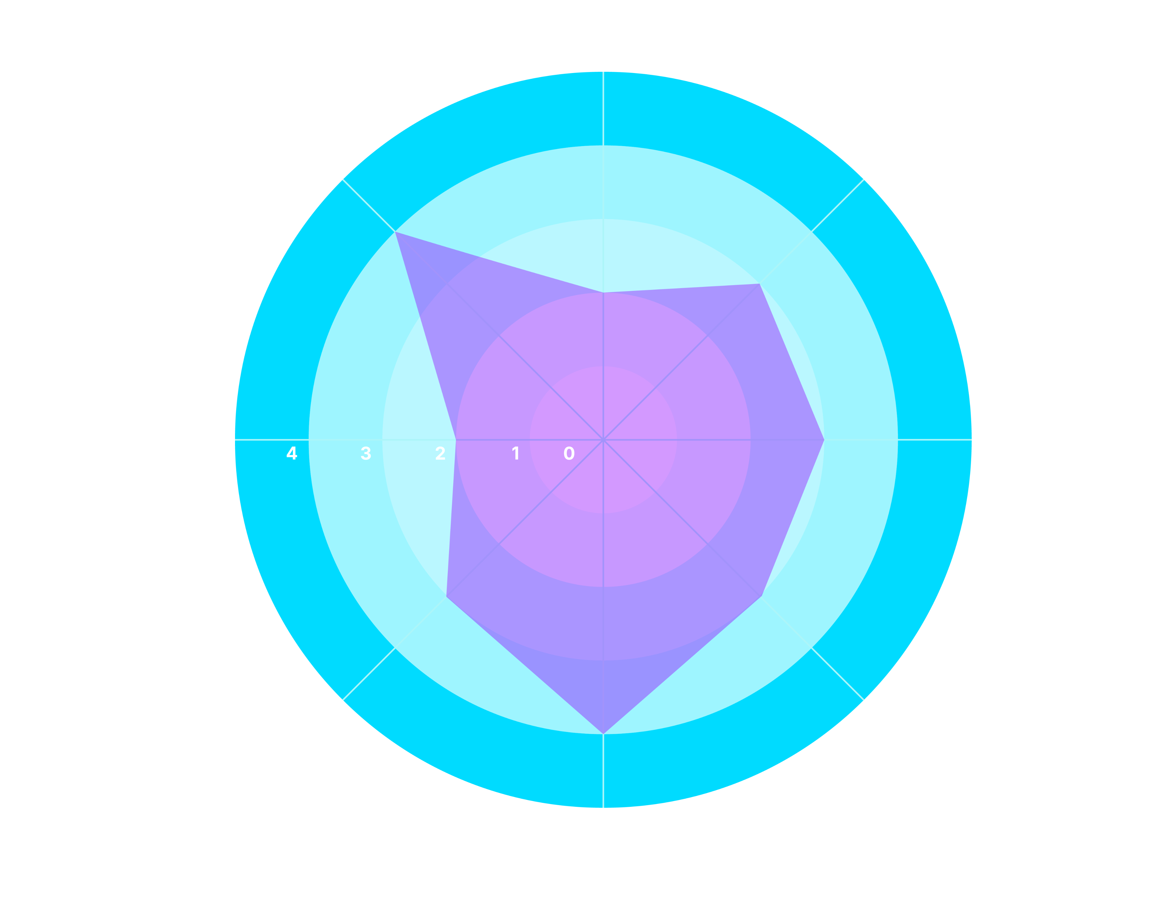 Bridgely Personality Profiling chart